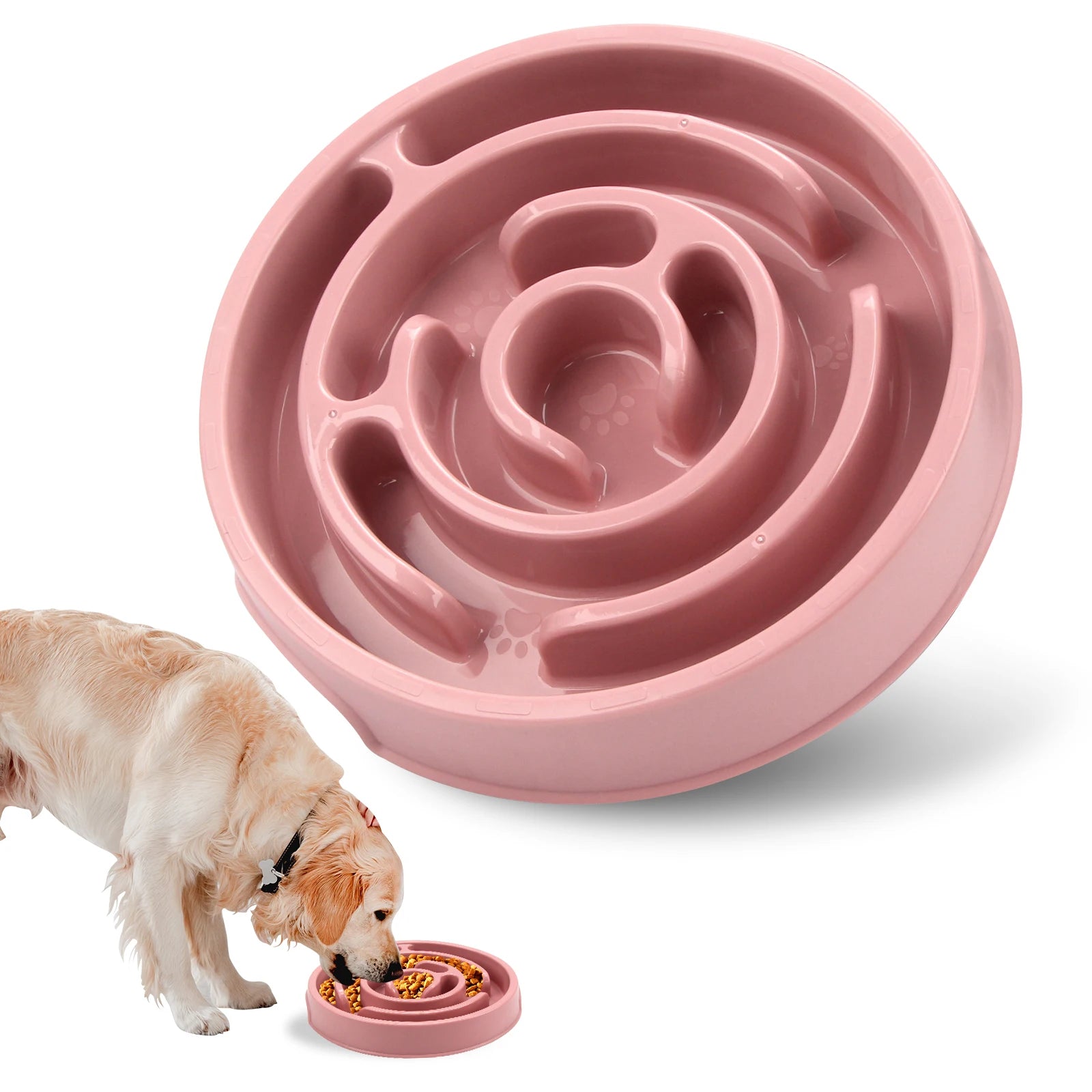 Pawvio™ | Gamelle Anti-Glouton Chien & Chat